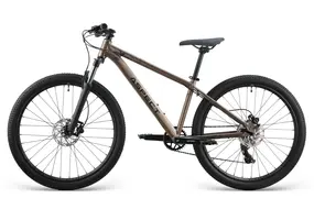 Велосипед Aspect RADIUM PRO 29" (2025) L (20") бежевый 2