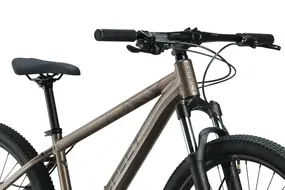 Велосипед Aspect RADIUM PRO 29" (2025) L (20") бежевый 6