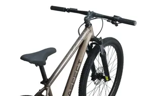 Велосипед Aspect RADIUM PRO 29" (2025) L (20") бежевый 8