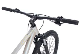 Велосипед ➤ ASPECT 29" NICKEL PRO XL бежевый 9