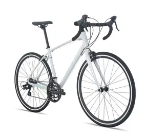 Шоссейный велосипед Giant Speeder 28 L (20) слоновая кость 1