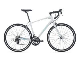 Шоссейный велосипед Giant Speeder 28 M (17) слоновая кость 3