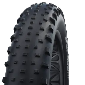 Schwalbe_JUMBO_JIM_26