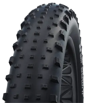 Schwalbe_JUMBO_JIM_26