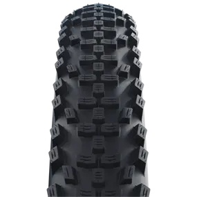 Schwalbe_SMART_SAM_29