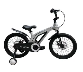 Велосипед Xaste Space 18", 11", серебристый 1