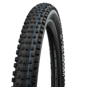 Schwalbe_WICKED_WILL_29