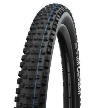 Schwalbe_WICKED_WILL_29