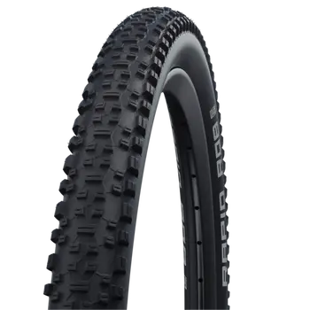 Schwalbe_RAPID_ROB_26