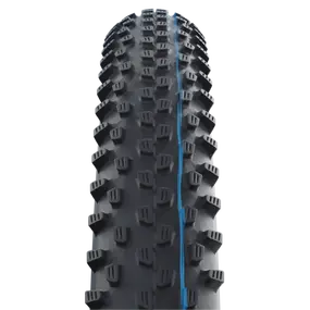 Schwalbe_RACING_RAY_29