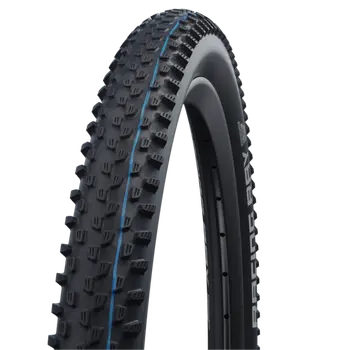 Schwalbe_RACING_RAY_29