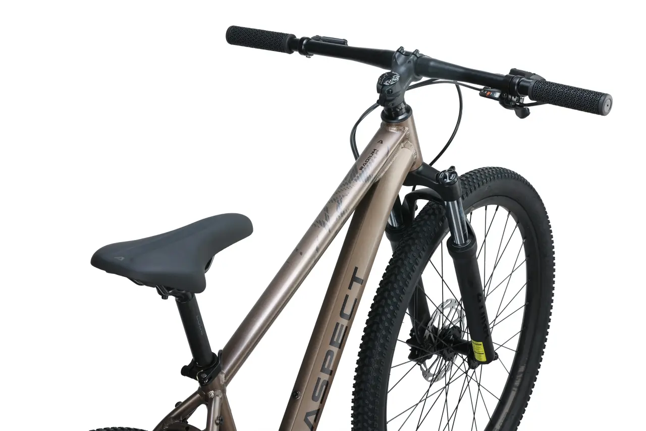 Велосипед Aspect RADIUM PRO 29" (2025) L (20") бежевый 8