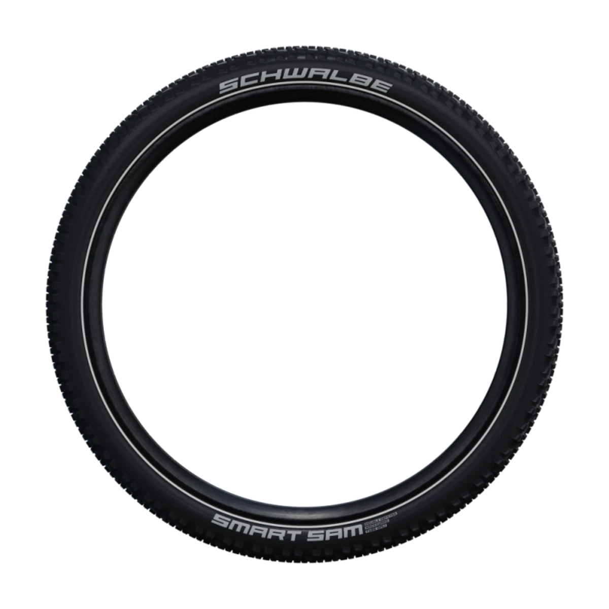 Schwalbe_SMART_SAM_29