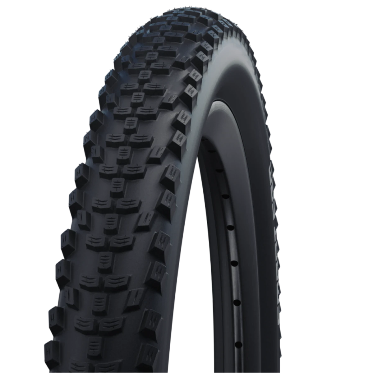 Schwalbe_SMART_SAM_28