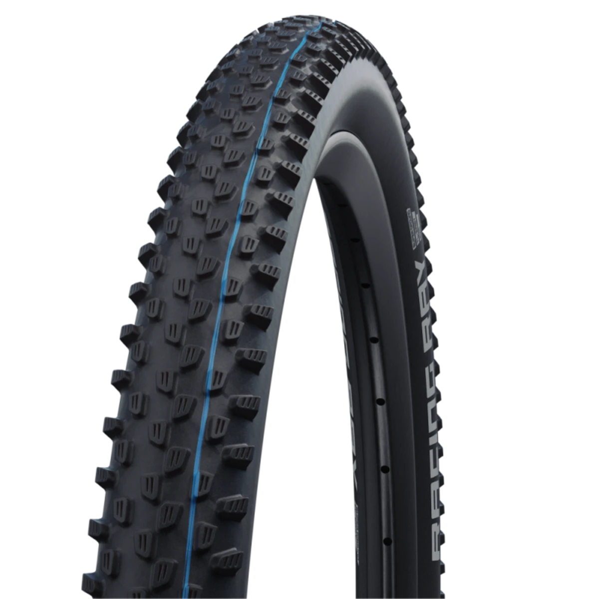 Schwalbe_RACING_RAY_29