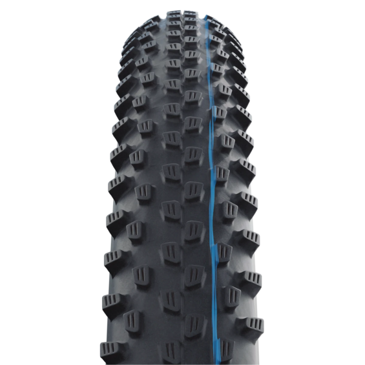 Schwalbe_RACING_RAY_29