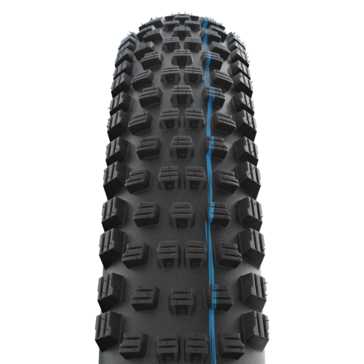 Schwalbe_WICKED_WILL_29