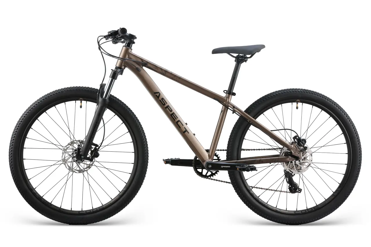 Велосипед Aspect RADIUM PRO 29" (2025) L (20") бежевый 2