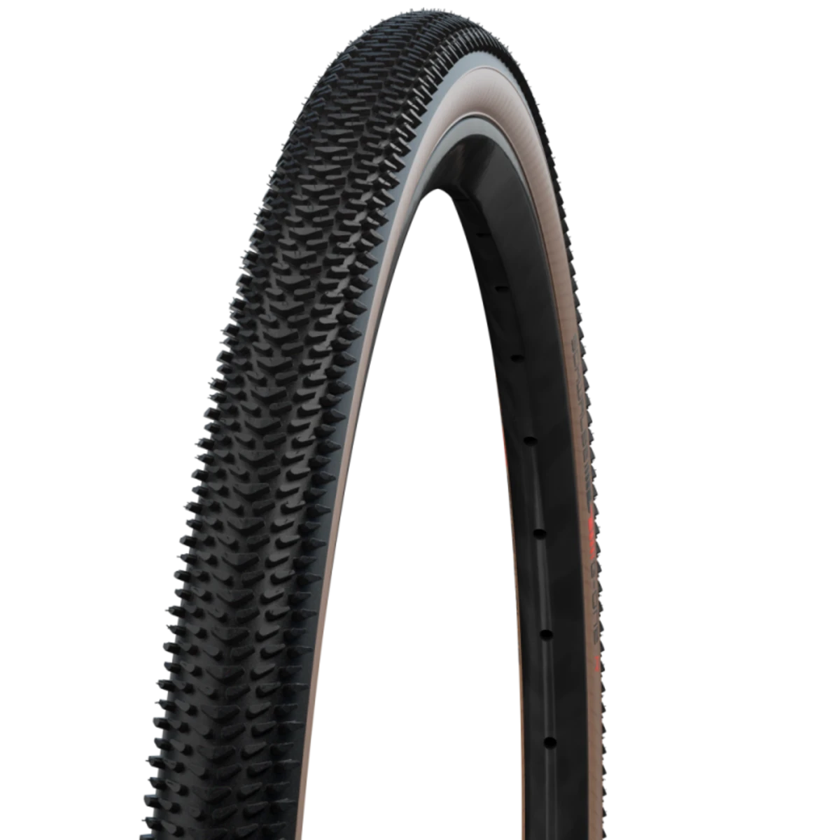 Schwalbe_G-ONE_R_28