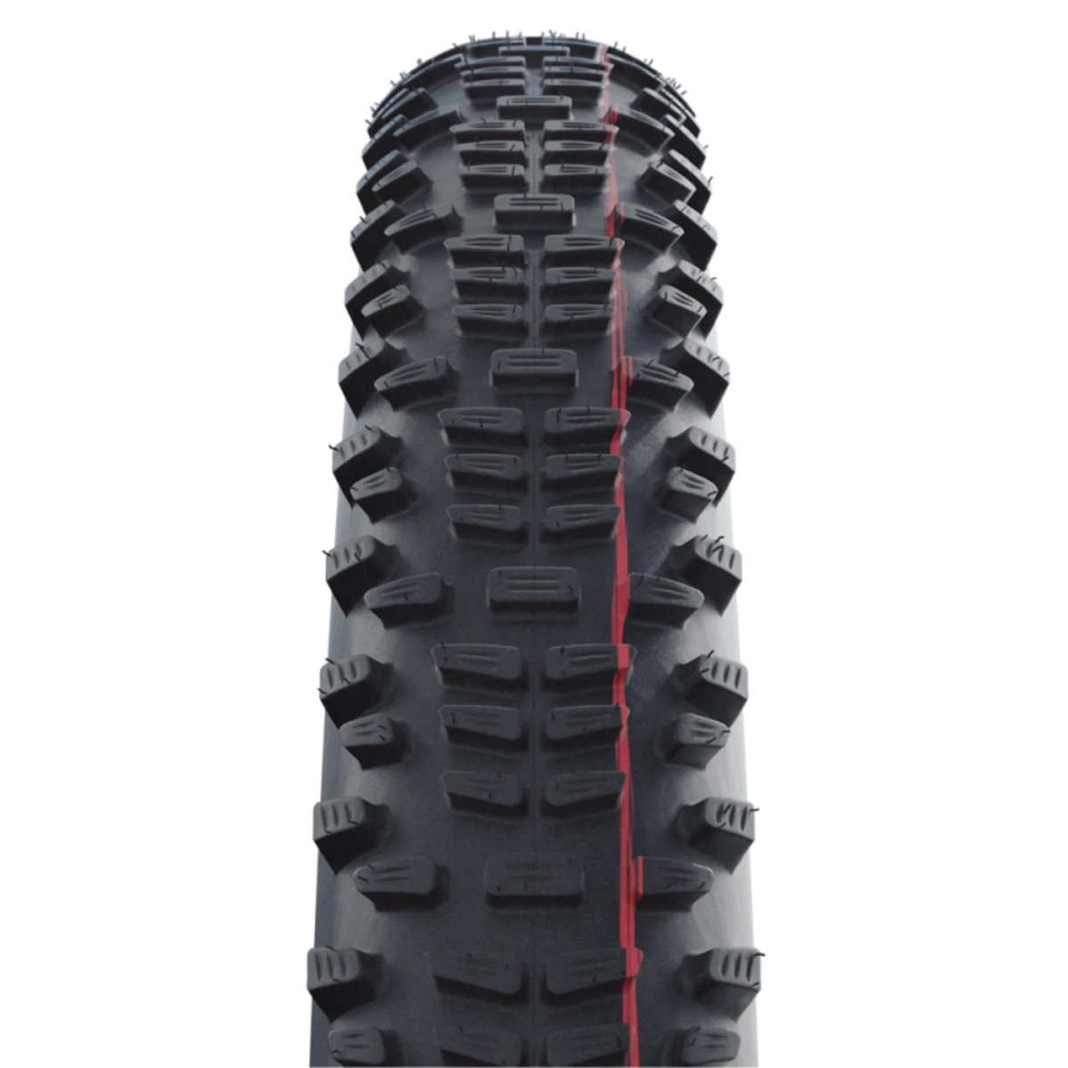 Schwalbe_RACING_RALPH_29