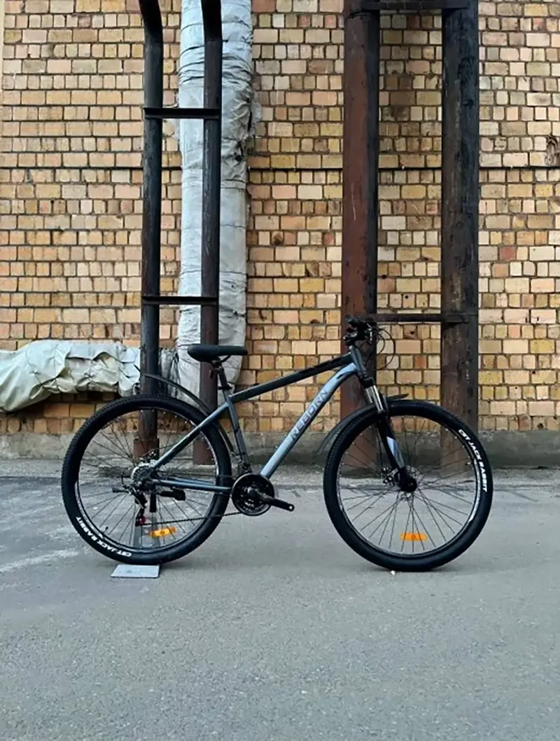 Велосипед Reborn Ghost 29" Серо-матовый 21" 1