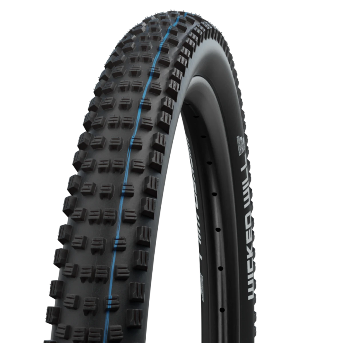 Schwalbe_WICKED_WILL_29