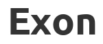 Летние Товары Exon