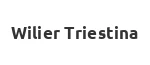 Велосипеды Wilier Triestina