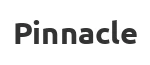 Термосы Pinnacle